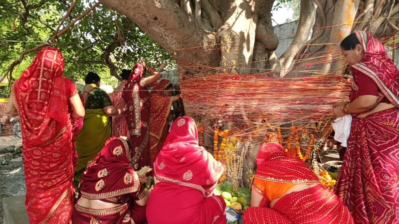 वट सावित्री व्रत पर उमड़ी आस्था, सुहागिन महिलाओं ने बरगद की पूजा कर मांगा अखंड सौभाग्य