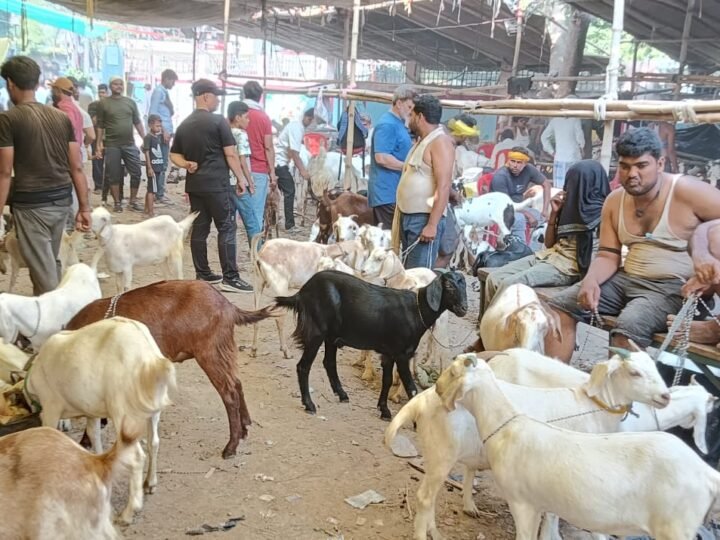 बकरीद को लेकर सजी बनारस की बकरा मंडी, बेनियाबाद में खरीदारों की उमड़ी भीड़