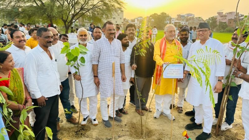 डोमरी और कंचनपुर के बाद अब सारंगतालाब में रोपे जाएंगे 40 हजार से अधिक पौधे
