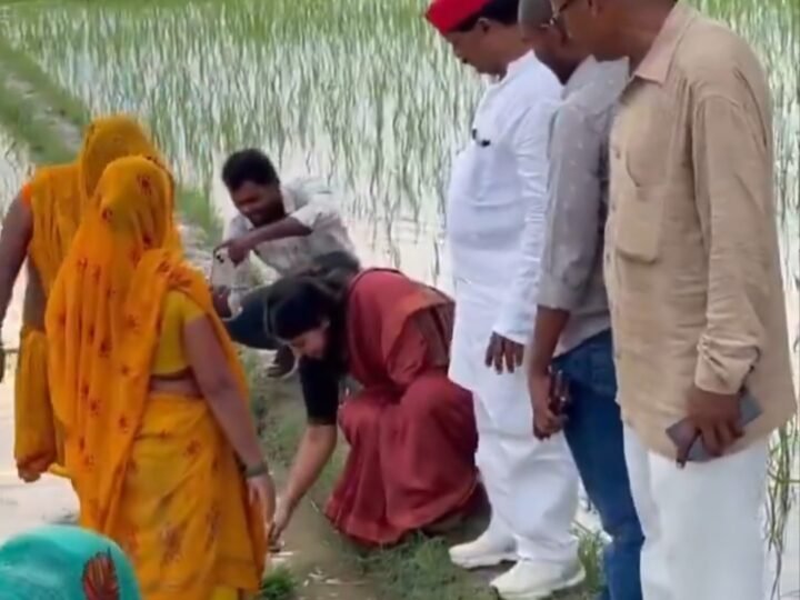 धान के खेत में उतरीं सांसद प्रिया सरोज, किसानों के साथ की रोपाई; वीडियो सोशल मीडिया पर वायरल